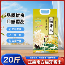 正宗猫牙米晚稻新大米新鲜南方生态长款丝苗香米工厂批发代发