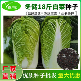 ����18���ײ˷N�Ӗ|���ײ��Ѷ���ʮ�˽��ײ��߲˷N�Ӵ�ȫ����