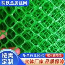跨境供应果园围栏防护网阻燃网小孔鸡鸭鹅塑料养殖网防漏小网格