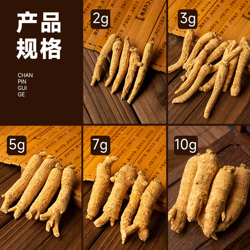 アメリカ人参丸ごと500g 山東文登産5年物アメリカ人参丸ごと卸売|undefined