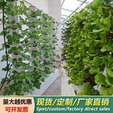 ��ͥ�̨��픴���o������Nֲ�O���������ʽ���ܷN������ˮ���C