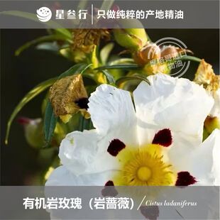 �ЙC���Nޱ������õ��η�����Ħ���a�� ������޹����ԭ�����l