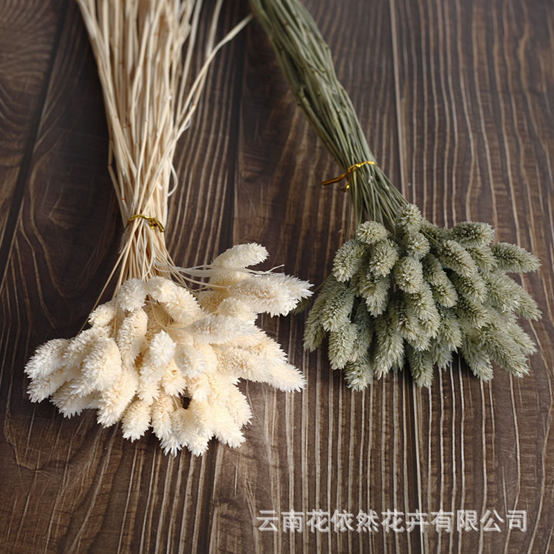 Flor seca Flor eterna Gypsophila Bola de oro No me olvides Flor seca Rosa hoja de eucalipto Pine Fruit Lover Grass al por mayor