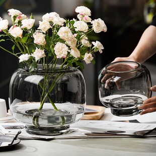 Simple Modern Round Large Mouth Vase Transparent Water-raised Flowers Flower Arrange Living Room Dining Table Glass Thickened Ornaments Sky