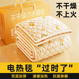 水暖电热毯水暖毯智能双控单控水循环电热毯电褥子家用盖毯新款批