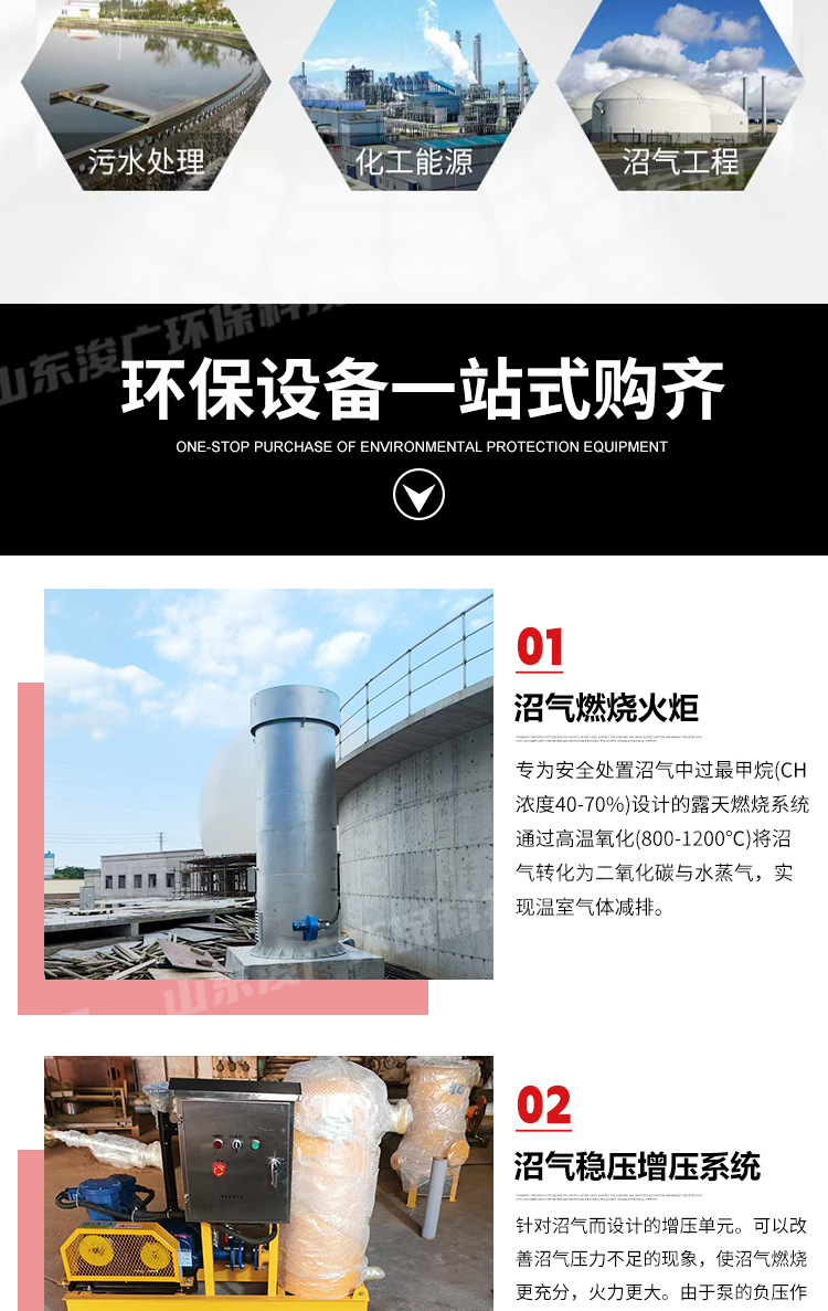 沼气脱硫净化_04