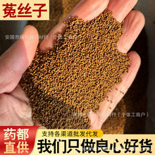 ���ɹ�Ұ���˽z���w����ș���ýz�������ݲ��ݾƶŷN�M�����a���