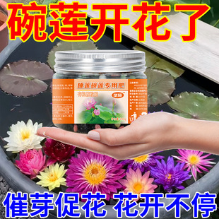 Special Nutrient Solution for Bowl Lotus, Water Lily Fertilizer, Universal Water-Soluble Fertilizer, Hydroponic Seed Germination, Rooting, Flower Promotion, Yellow Leaf Prevention