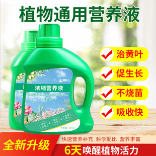 Concentrated Nutrient Solution Plant Universal Fortune Tree Rich Bamboo Green Diet Hydroponic Potted Household Flower Flower Flowering Fertilizer