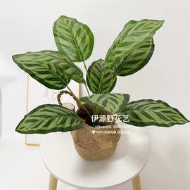 仿真假花绿植小盆栽装饰摆件植物墙插花配材过胶叶子9头竹芋叶