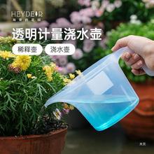 海蒂的花园 爱丽思计量浇水壶浇花施肥兑药园艺1L量杯透明刻度杯