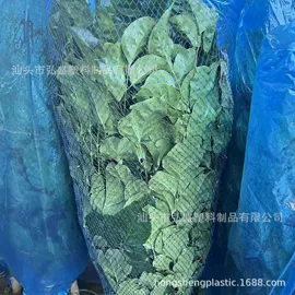 塑料网套;沐浴球浴擦;其他塑料网