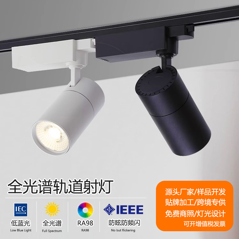 Changling Optoelectronics Track Light 30W High Cri Spotlight Cob Track Light for Window Display Supermarket Chain Store Lighting Led Light