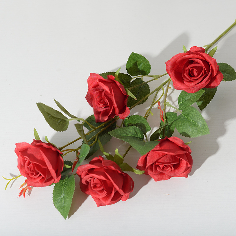 5 cabezas pequeño París rojo