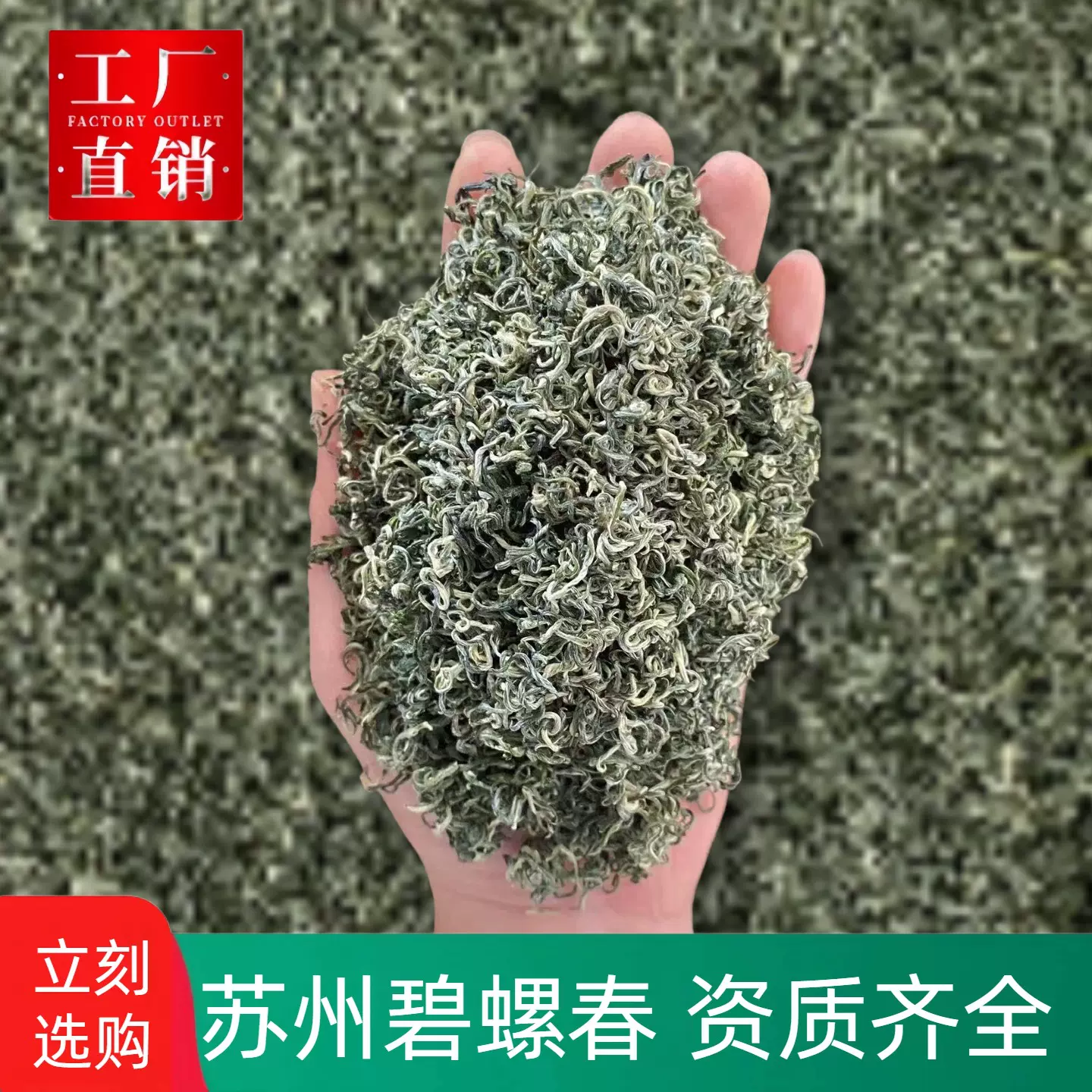 古雨春绿茶新茶批发整箱太湖产苏州茶叶散装500g浓香型散批碧螺春