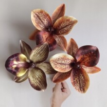 С�t������ǧ�B�m���^�����m���^һ�����b�Ь���l�A�^��b����