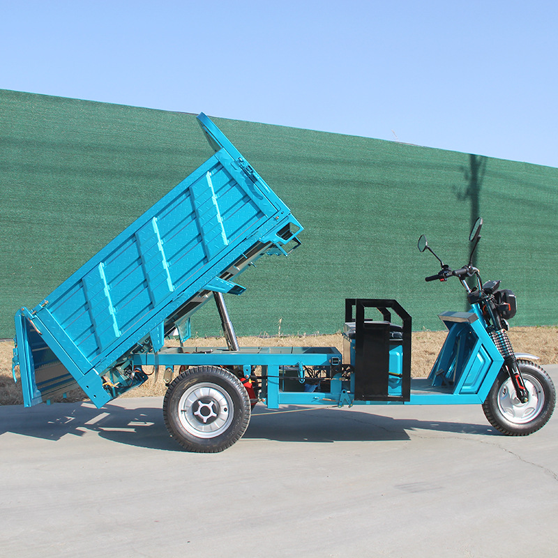 Triciclo eléctrico de carga de montaña de carga de montaña camión rey tres trampones agrícola doméstico camión de carga batería granja