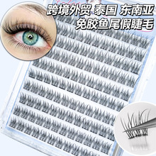 �羳���̩��Խ�ϖ|�ρ����z�ٽ�ë�����������~β������Ȼ�ճ�