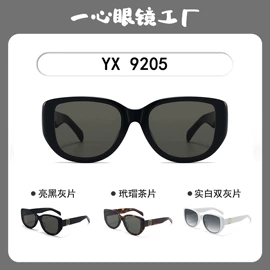 太阳镜;框架眼镜;眼镜片