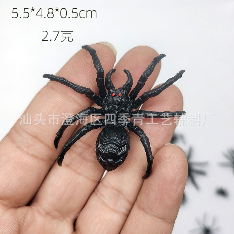 5.5cm red-eyed spider
