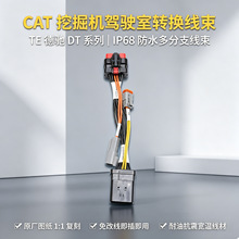 ����CAT�ھ�C�{�����̖�D�Q���� �b�d�C�@ʾ���B�ӿ��������Ӿ�