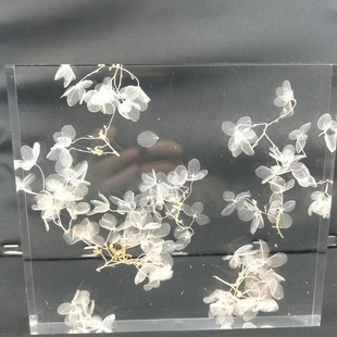 PMMA Buried Cherry Blossom Transparent Acrylic Hydrangea Anna Flower Eternal Flower Green Plant Screen Display Plexiglass