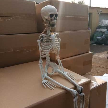 Halloween esqueleto de plástico esqueleto de plástico tamaño de niños esqueleto humano decoración de casa embrujada colgar props fantasmas al por mayor