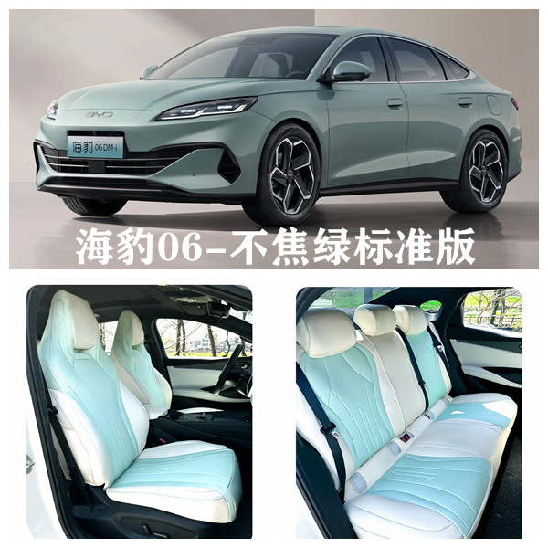 BYD – Seat Covers Modelə uyğun (Original) oturacaq örtükləri - not-anxious-green-five-seat-full-coverage-standard-edition-seal-06-dedicated
