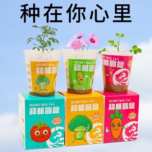 ����Nֲä�Ѓ�ֲͯ������С�����׃��@�^��ֲ��С�W���N�����l