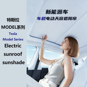 Tesla Model Y/Model Yl Elektrik Dam Tavan Günlüyü, Səsli İdarəetmə, Ambiyans İşığı