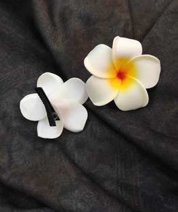 ����̩���u����С�Sɫ�l�A�zӰ�͏d�Y���b�ͯ���^������