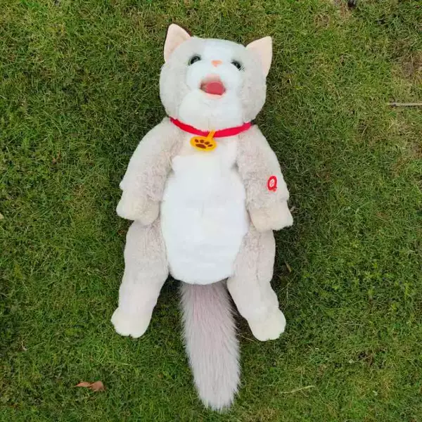 Мягкая (лижу́щая кошка)