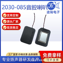 2030-085��ǻ��������ʶ���AI�����Խ��Ž�8ŷ2W�������
