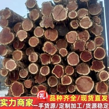 ���l�t�� �Ȱ�ľ ���ľ ��������ȫ�tо���ϼt��ľԭľ �tѩ��