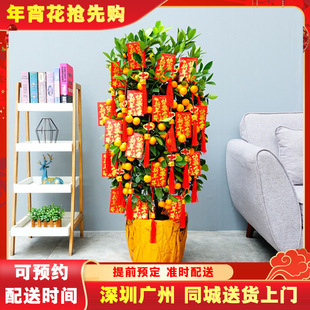 �ļ��۽�ۘ�������ɰ���������һ����������҃ȿ͏d���ڏV��ͬ��