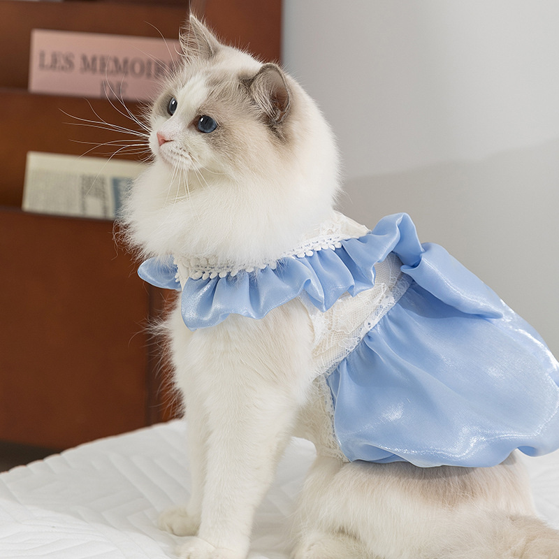 Estilo de primavera y verano de gato, vestido de princesa con lazo, falda de perro de tamaño mediano y pequeño, ropa de gato para mascotas