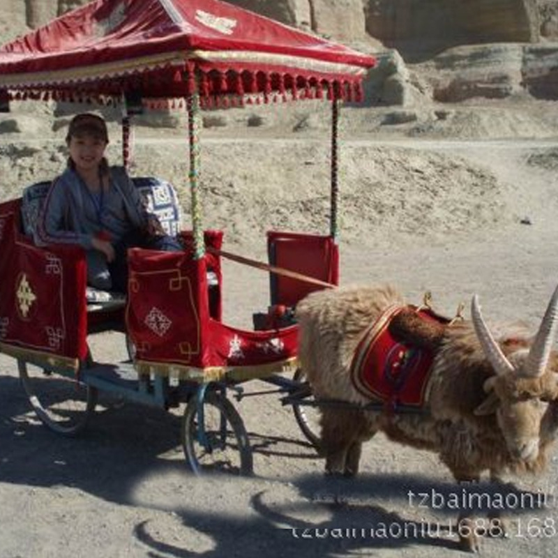 销售拍照旅游用四角羊 六角羊旅游白羊影视专用白羊可以骑得白羊