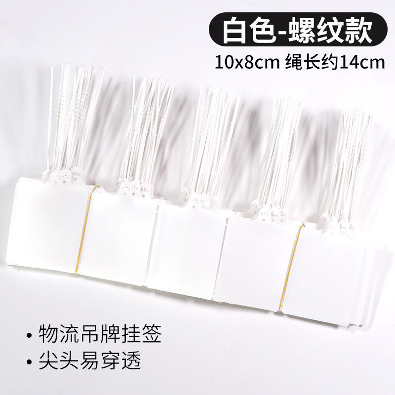 화이트 1000정 [핫셀링]