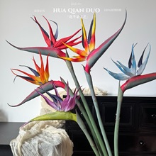 B滨߶˼ҾbܛzQmĔz߼ٻˇQl