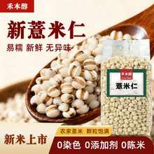 ���r�|��޲�����s�Z���r�Ҝp�͵�֬���s�Z�M�������ʳ