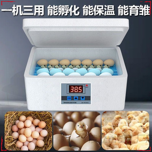 Incubator Small Water Bed Rudd Chicken Egg Incubator Household Fully Automatic Incubator Smart Incubator Chicken Duck Goose