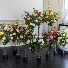 軨Gֲp҃ȿ͏db[Կ羳Rd