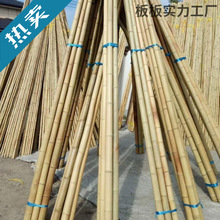 防腐竹竿批发装饰白黄粗细竹竿子豆角菜园黄瓜搭架菜架竹旗杆楠竹