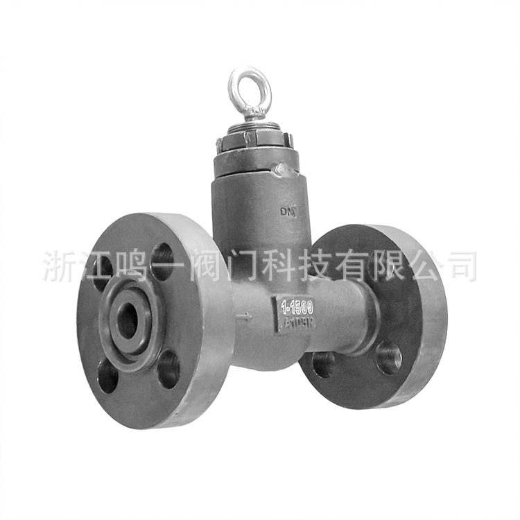 锻钢1500LB高压力自密封升降式止回阀 整体锻造一体式法兰止回阀