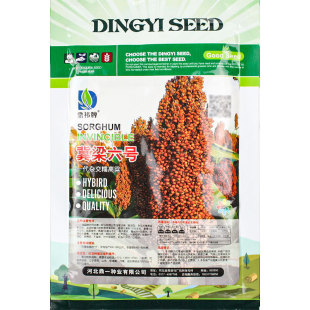 �t�t�ӼtŴ���U�����N�ӷN����ᄾƷN�˸߮a���쿹������s�Z