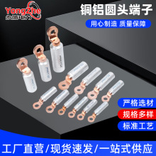 DTL-2圆头出口型铜铝鼻子铜铝过渡接线端子电线电缆铝合金接线耳