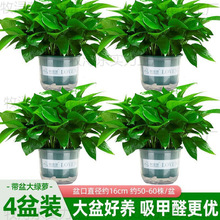 ~G}҃ȿ͏dȩ՚ֲGֲkҾGjl