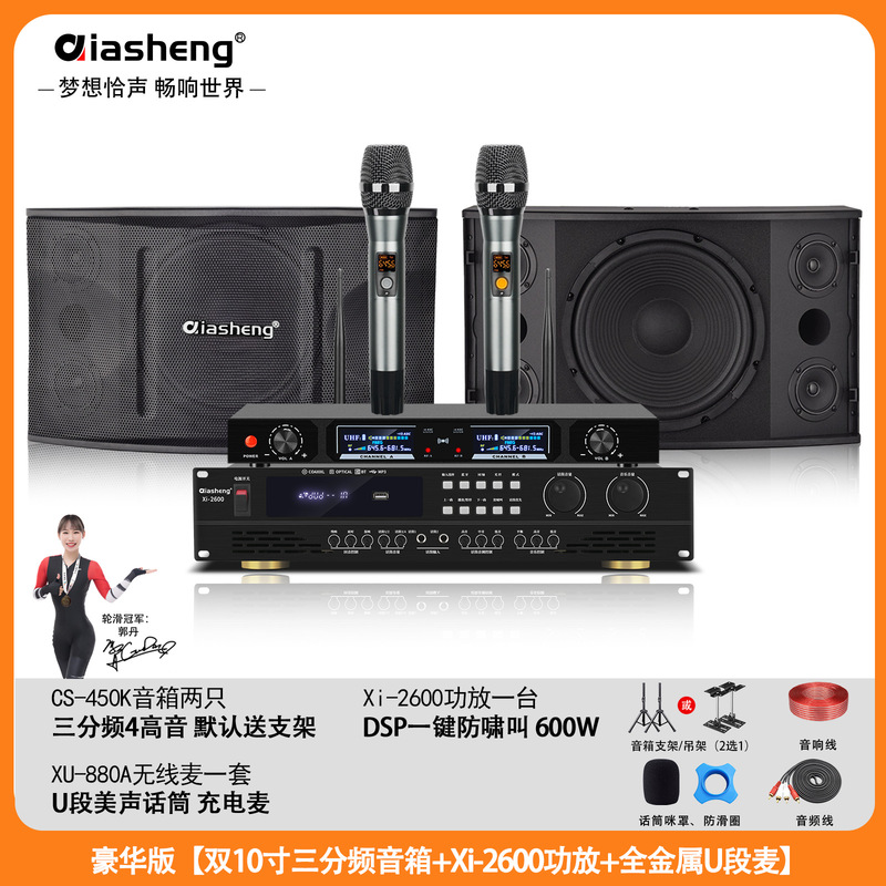 QIASHENG 家庭KTV音响套装卡拉OK点歌机专业音箱全套K歌影院设备|undefined