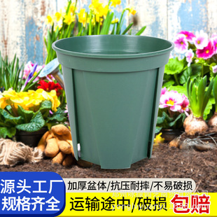 �F؛���l�Ӻ�������ɽ�ظ���Ӂ������Դ�С̖��������Nֲ���ɫ