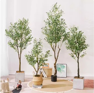 ���R�d����Gֲ������Ԕ[���҃��ϙ��W�t����bM���ϙ�٘�